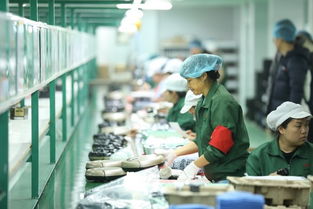 拼多多賦能“拼工廠”，深圳試點透明化生產(chǎn)，麥秸畫傳統(tǒng)工藝觸網(wǎng)新生